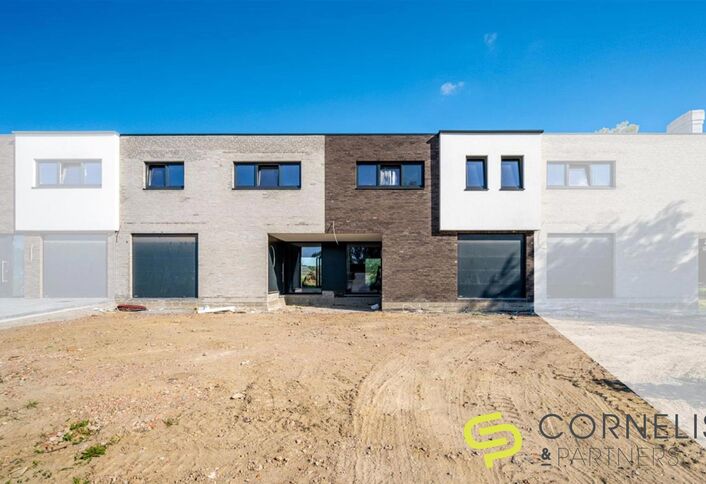 Project Eegene in Dendermonde