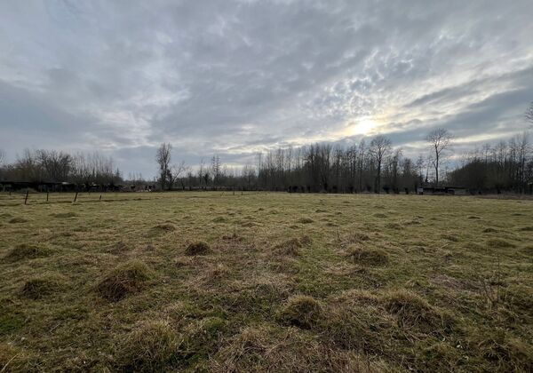 Prairie à vendre à Erpe-Mere