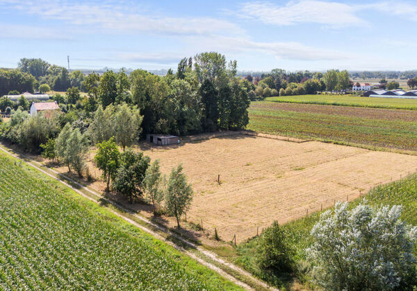 Terrain agricole à vendre à Maldegem