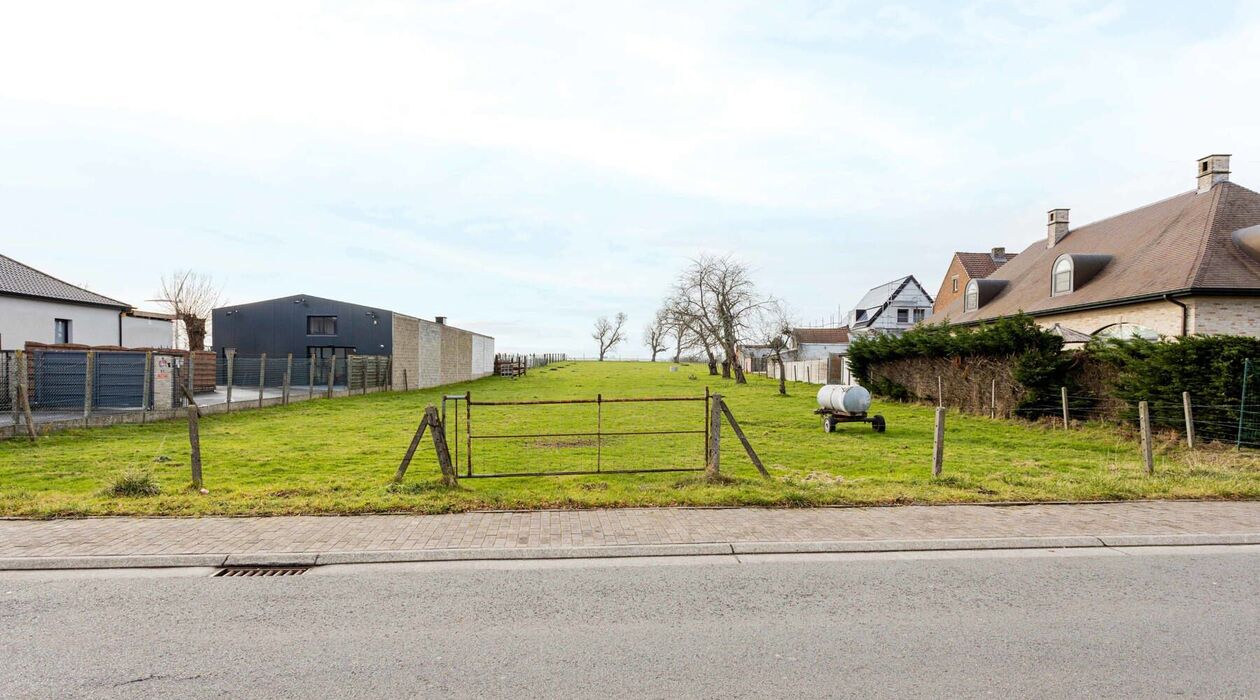 Bouwgrond (projecten) te koop in Schendelbeke