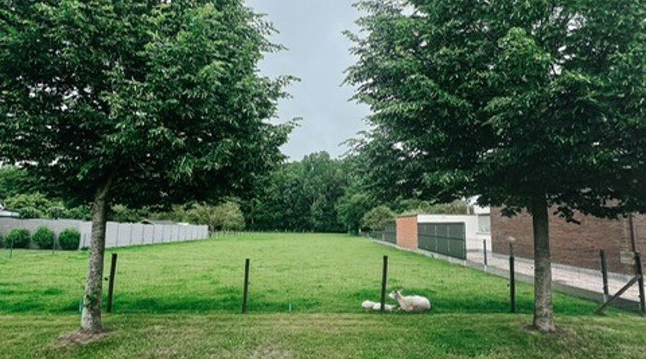Bouwgrond te koop in Meise