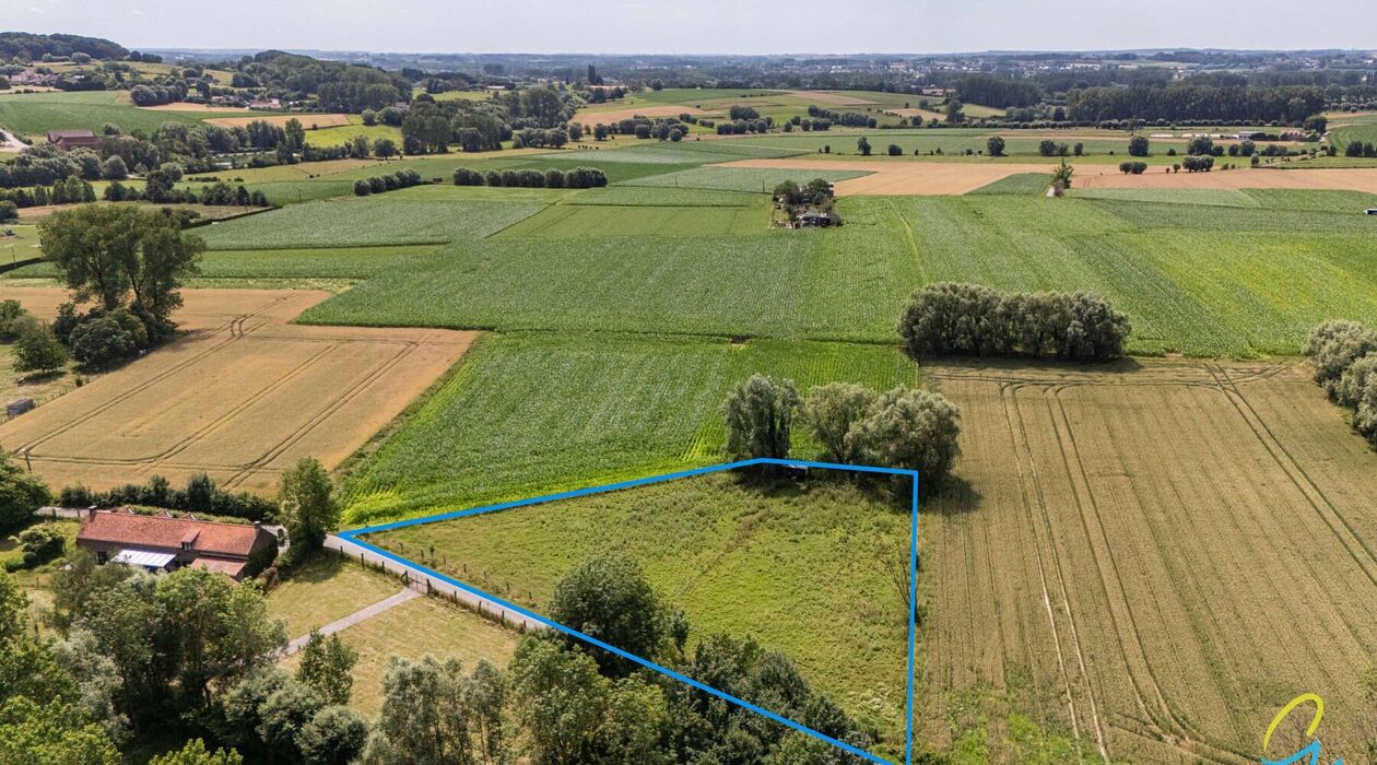 Weide te koop in Geraardsbergen